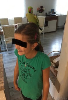 Alexander Malý kľudný krotký. - 8