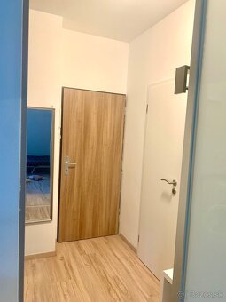 Prenajmem 1 izbový apartmán vedľa Veľkého Draždiaka - 8
