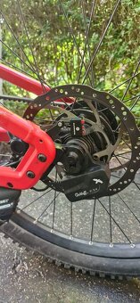 Riese & Müller Delite Rohloff 2020 elektrobicikel - 8