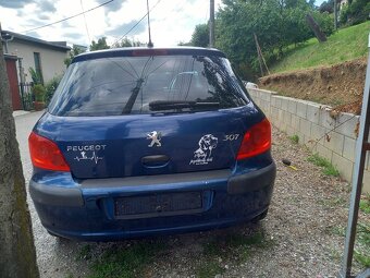Peugeot 307 - 8