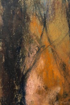 Géza Rónai – vzácny pastel na kartóne, 68 × 56 cm - 8