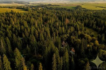 Ponúkam na predaj rekreačný pozemok Štrba - 8