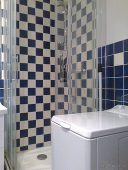 Prenájom 1-izbového bytu - 8