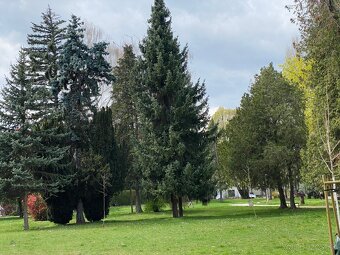 Príjemné miesto na bývanie priamo v centre - DOM - 8