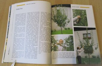 Řez, tvarování a roubování ovocných stromu - 8