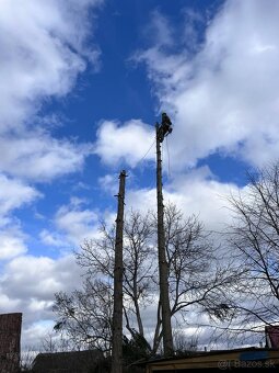Výrub stromov a rizikové pílenie stromov - 8