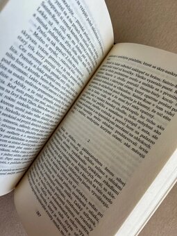 Mestské návršia - Emmanuel Roblès r.1986 - 8