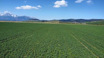Podhorany – 21.783 m2 ORNÁ PÔDA v podiele 1/1 – Predaj - 8
