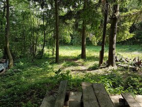 Záhradný pozemok v lese pod Smolenickým zámkom - 8