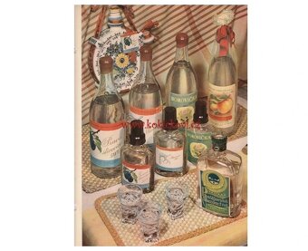 Katalóg liehovín z roku 1954 - 8
