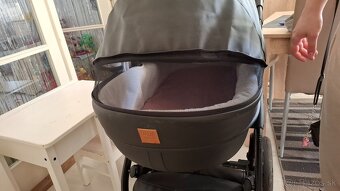 Dada paradiso max 500 2019 - 8