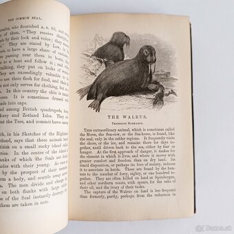 Starožitná knižka – Zoológia – Murray – 1844 - 8