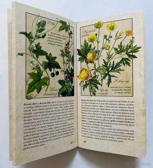 LIEČIVÉ BYLINKY + PRÍRODNÁ LIEČBA - 8