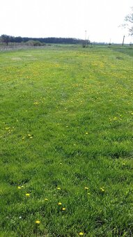 stavebny pozemok , zahrada - 8