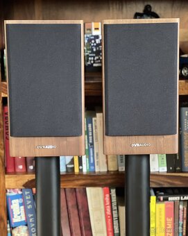 Dynaudio Evoke 20 (orech) + stojany NorStone - 8