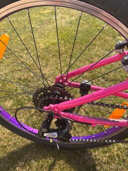 Trek Wahoo “24” - 8