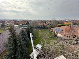 Arboristické práce - 8