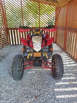 ATV Bashan 250 - 8