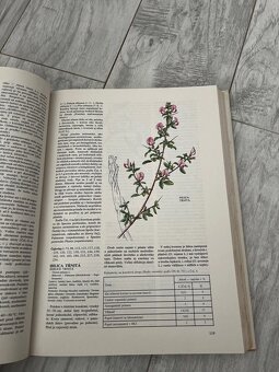 Atlas liečivých rastlín a lesných plodov - Kresánek J. - 8