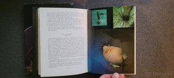 2 x knihy o potápaní - krásny stav - 8