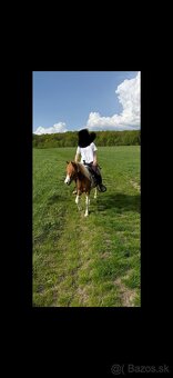 Pony kobylka - 8