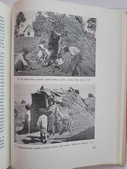 Cigáni na Slovensku - 8