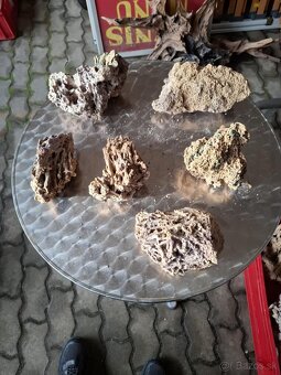 Predáme živé kamene do teráriá alebo akvaria. - 8
