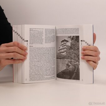 Japonsko - český turistický sprievodca Rough Guides - 8