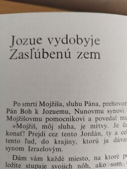 Ilustrovana Biblia. - 8