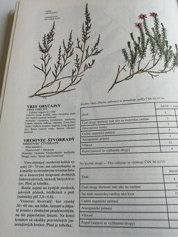 Atlas liečivých rastlín a lesných plodov--1982--Kresánek Jar - 8