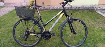 Cestný bicykel MAXIMA 1.0 - 8