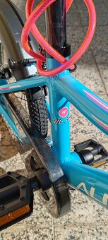 Bicykel Author Record 16 - 8