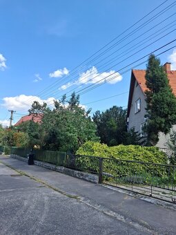 Pílenie stromov a drevín - 8