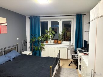 2 izbovy byt lanska - 8