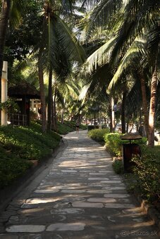 Canon EOS M50 + setový objektív 15-45mm - 8