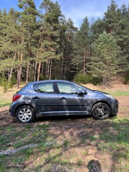Peugeot 207 - 8