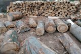 Predaj palivového dreva do drevosplinovacích kotlou - 8