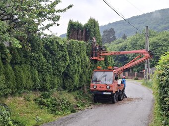 Kosenie záhrad, strihanie živých plotov... - 8