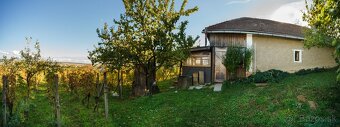 Rekreačný domček s vinicou vo Vrábľoch na predaj - 8