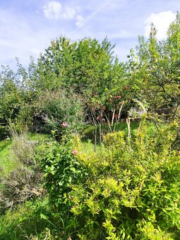 Na predaj pekná záhradka s chatkou - 8