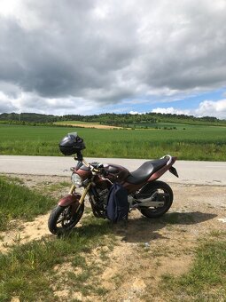 Honda Hornet 600 - 8