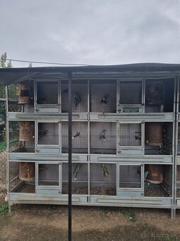 Hlinikové voliéry,klietky pre papagáje - 8