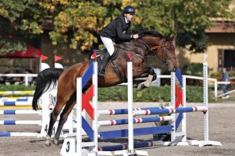 Kobylka na rekreaci / rodinný mazel / sport - 8