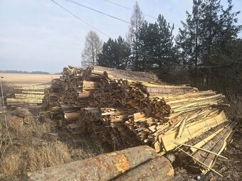 Palivové drevo,  odrezky - 8