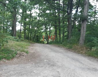 Pozemok 5.200 m2 , šírka 35 m, Horné Jabloňovce (SM - 829) - 8