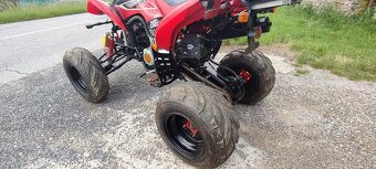 Bashan 200 - 8