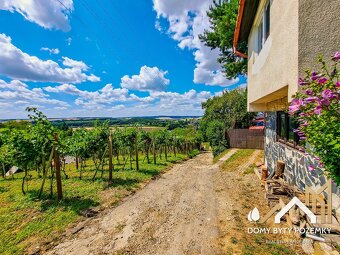 Na predaj rekreačná chatka / vinohradnícky domček - 8