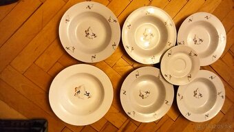 Predám taniere cibulák a húsky - 8