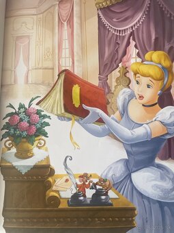 Walt Disney Divočina, Ratatouille, - 8