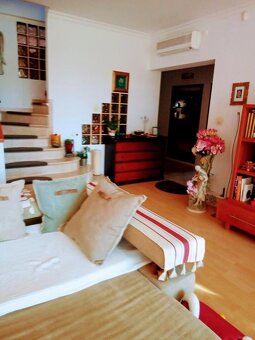 Dlhodoby prenajom 5 izbovy rodinny dom so zahradou - 8